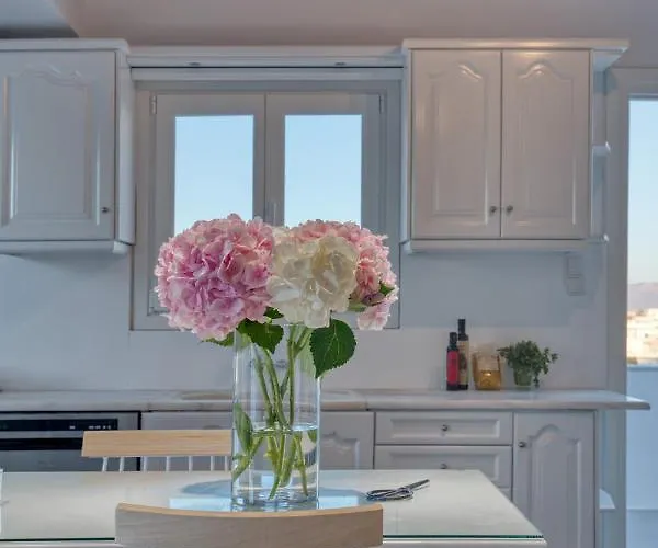 White Cliff Apartment Naoussa